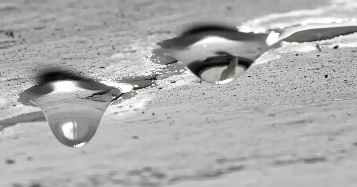 Emergency Roof Leak Repair Services