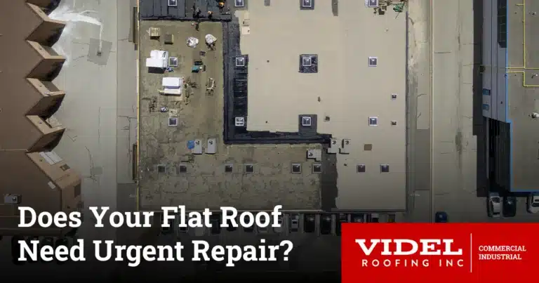 Signs Your Flat Roof Needs Repair