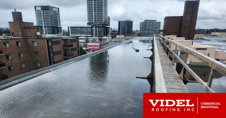 7 Reasons Why Flat Roofs Fail