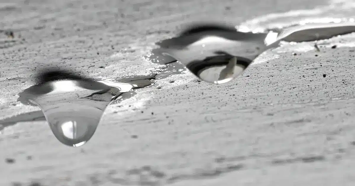 Emergency Roof Leak Repair Services