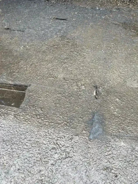 Foot Traffic and Mechanical Damage (2)