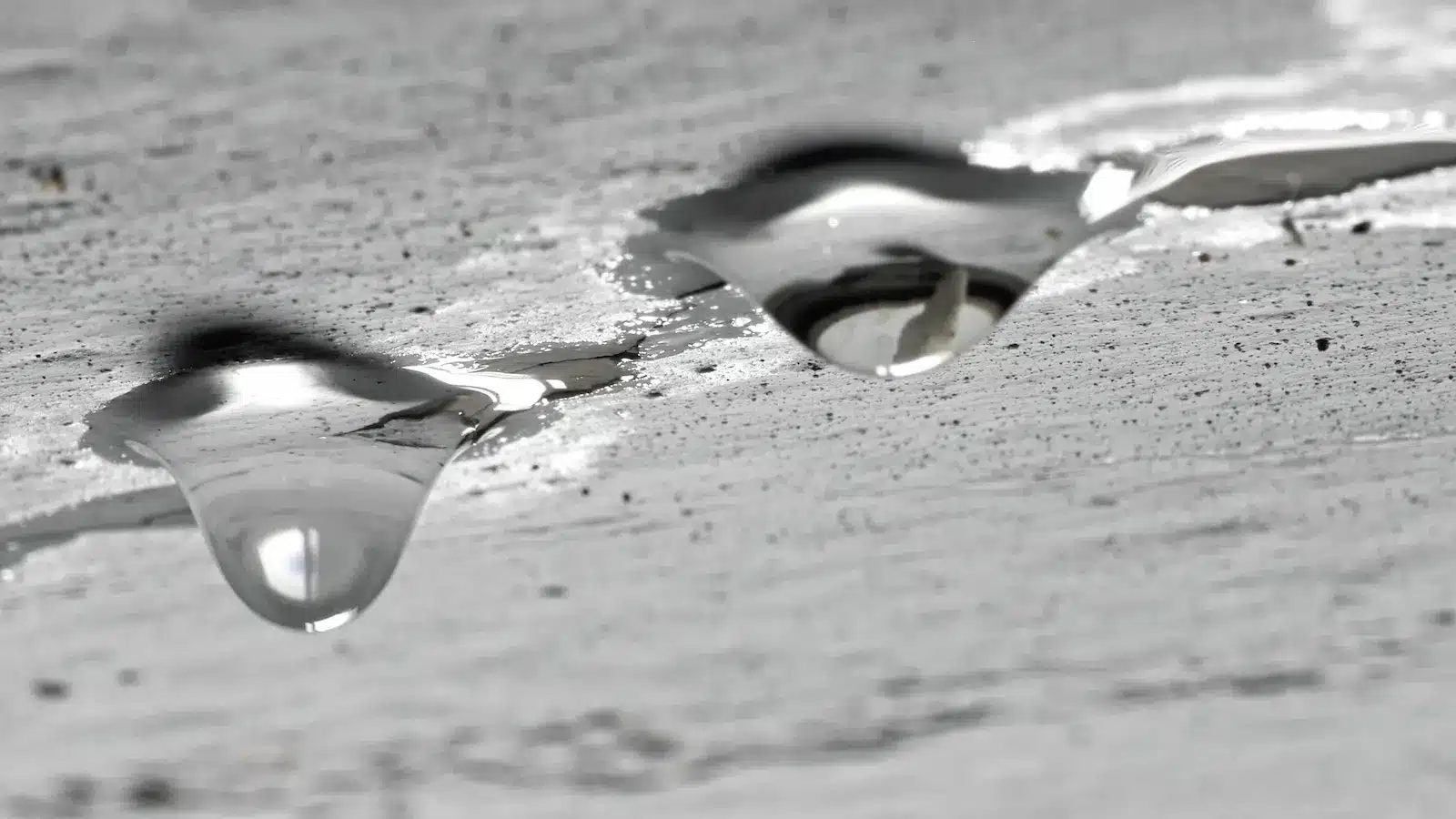 Emergency Roof Leak Repair