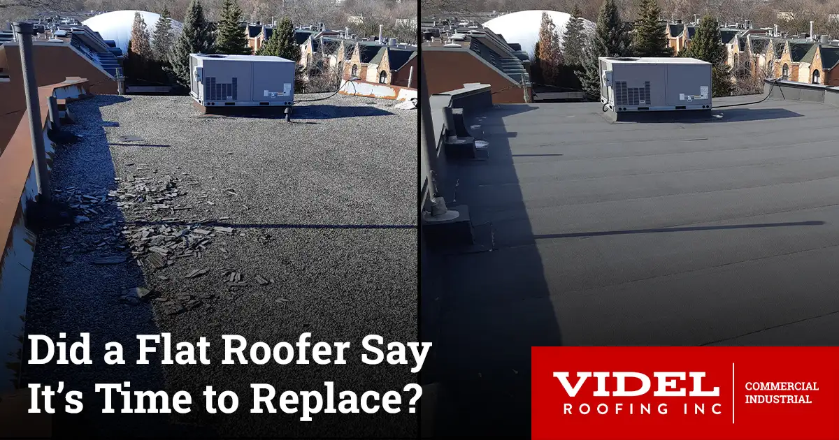 How to Prevent a Premature Roof Replacement by 5+ Years