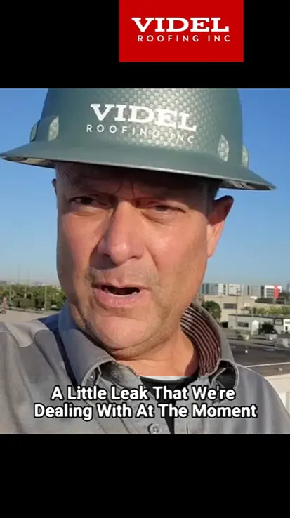 Kirby Hewines showing how a small repair can turn into a costly issue on a commercial flat roof in Toronto